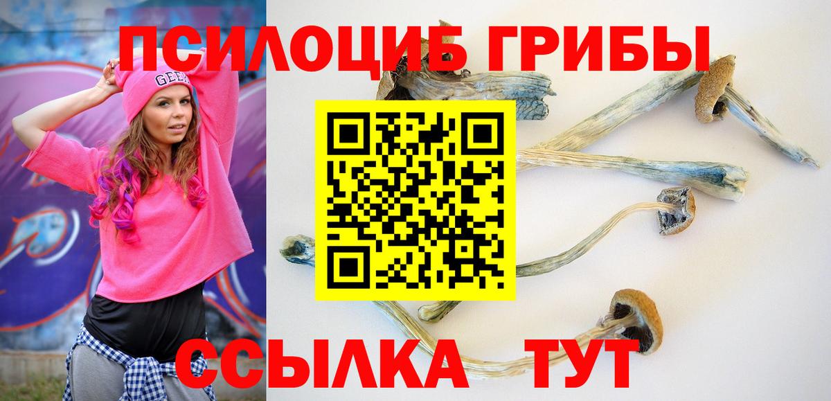 Саратов  Галлюциногенные грибы Magic Shrooms  Вход с VPN 